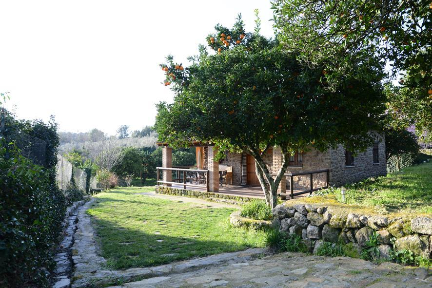 Casa Rural El Pilar Acebo Extérieur photo