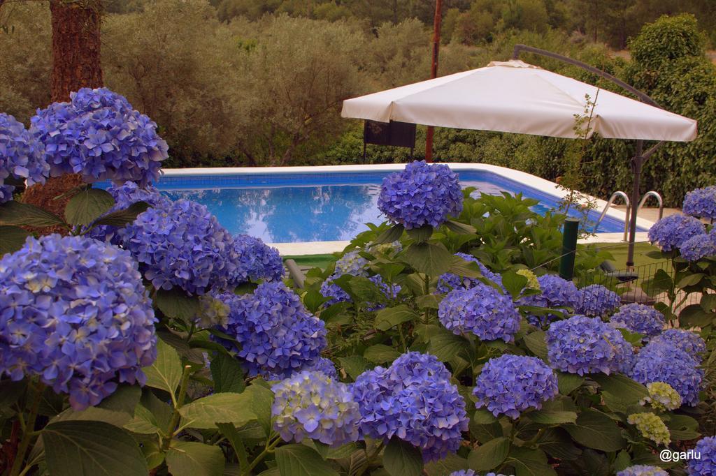 Casa Rural El Pilar Acebo Extérieur photo