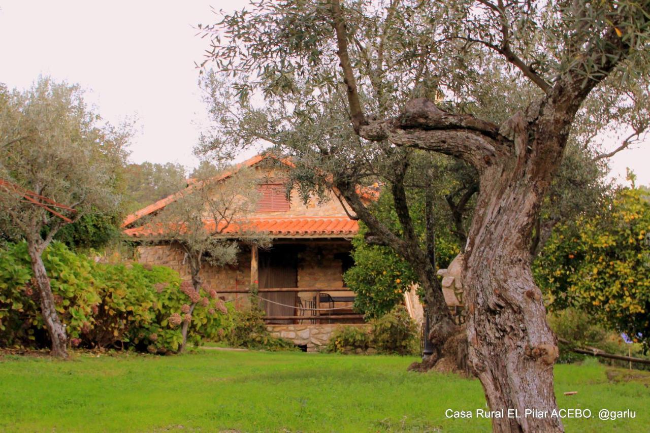 Casa Rural El Pilar Acebo Extérieur photo