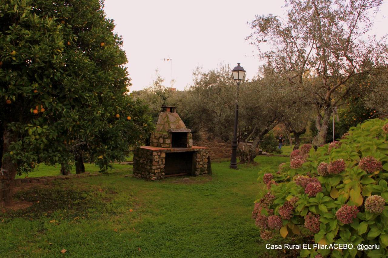 Casa Rural El Pilar Acebo Extérieur photo