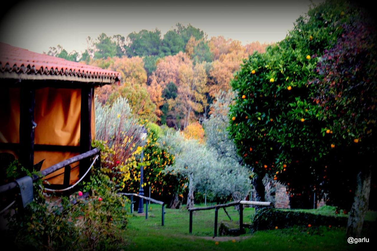Casa Rural El Pilar Acebo Extérieur photo